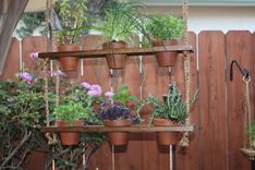 Hanging Herb Garden 1 small
