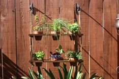 Hanging Herb Garden 2 small
