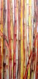 25% Off Sale- Bamboo Painting Original Abstract -18"X36" Brown Yellow Beige Modern Painting 4 small