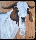 Rustic Wood Farm Animal  Welcome Boards Painted To Order 6 small