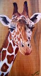 Wildlife Rustic Wood Boards Painted To Order 5 small