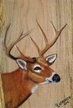 Wildlife Rustic Wood Boards Painted To Order 6 small