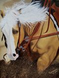 Horses Painted In Oils On Canvas,  Wood,  Or Fabric 1 small