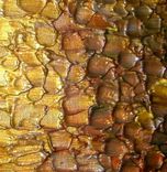 Print With Matte Of Original Gold Poppy Painting By Dan Lafferty Sale 22% Off 2 small