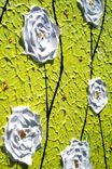 Original Abstract White Blossom Flowers Impasto Yellow Landscape Art Textured Palette Knife Painting 4 small