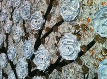 Xlarge Gallery Wrap Canvas Abstract 3ft X 2ft Floral Original Painting Contemporary Impasto Tree 1 small