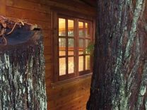 Writing Studio Windows And Entry Door Made Of Redwood 2 small