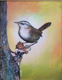Bird Painting; Wildlife Painting; A Bewick's Wren, Acrylic On Canvas Art For Sale. 1 small