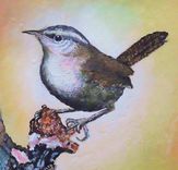Bird Painting; Wildlife Painting; A Bewick's Wren, Acrylic On Canvas Art For Sale. 2 small