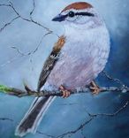 Bird Painting, Wildlife Painting: Arizona Native Bird, Chipping Sparrow Acrylic On Canvas 2 small