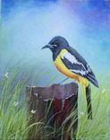 Bird Painting, Wildlife Painting: Arizona Native Bird, Scott's Oriole, Acrylic On Canvas 1 small