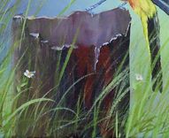 Bird Painting, Wildlife Painting: Arizona Native Bird, Scott's Oriole, Acrylic On Canvas 3 small