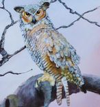 Bird Painting, Wildlife Painting: Arizona Native Bird, Great Horned Owl In A Tree, Acrylic On Canvas 3 small