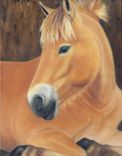 Horse Painting - Oil On Canvas In Black And Gold Wood Frame - Horse Art 1 small