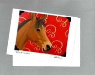 Horse Art Card - Bay Arab On Bright Red With Copper Scroll Background - Horse Art Print Postcard 2 small