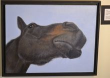 Funny Horse Card - Thoroughbred Horse Looking Skyward - Horse Art Print Postcard 2 small