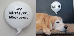 Dog Glass Word Balloon Woof Woof 1 small