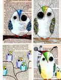 Owl Art - Sale - Oops- Owl Prints: -4x6 Size- 4 Prints Of A Variety Of Owls In Many Colors 4 small