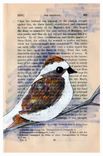 Sparrow Print - Winter Theme Set Of 3 Bird And Tree Prints In 5x7 Size 2 small