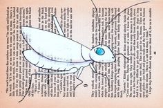 White Chinese Cricket On Vintage African Novel Page 1 small
