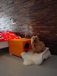 Indoor Dog House/Bedside Table 1 small