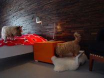 Indoor Dog House/Bedside Table 5 small