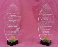 Custom Acrylic Awards 1 small