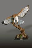Life Size Magnificent Bronze "Red-Tailed Hawk" Sculpture By Barry Stein 1 small