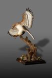 Life Size Magnificent Bronze "Red-Tailed Hawk" Sculpture By Barry Stein 2 small