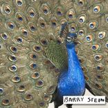 Gorgeous Peacock Bronze Sculpture Peafowl Statue Figurine By Barry Stein 5 small