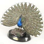 Gorgeous Peacock Bronze Sculpture Peafowl Statue Figurine By Barry Stein 6 small