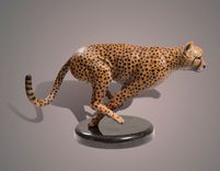 Bronze "The Cheetah" Amazing Detail!!! Limited Edition Sculpture By Barry Stein 1 small
