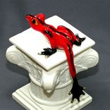 Fantastic Bronze Frog Figurine Statue Sculpture Art / Limited Edition / Signed & Numbered 5 small