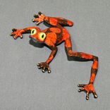 Bronze Frog 5 small