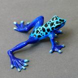 Real Frog Color Bronze Frog Sculpture Metal Art Figurine Statue Limited Edition Signed Numbered 2 small