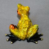 Incredible Bronze Frog Figurine Statue Sculpture Limited Edition Signed Numbered 5 small