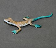 Bronze "Rango" Sculpture Art Limited Edition Signed Numbered 3 small