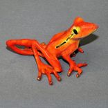 Bronze Frog Statue Figurine Amphibian Art (Color Of Live Frogs) Limited Edition Signed Numbered 3 small