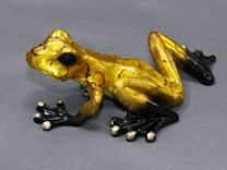 Wonderful Bronze Frog Figurine Statue Sculpture Amphibian Limited Edition Signed Numbered 4 small
