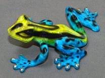 Wonderful Bronze Frog Figurine Statue Sculpture Amphibian Limited Edition Signed Numbered 6 small