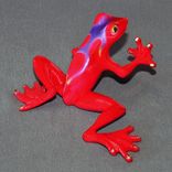 Fabulous Bronze Frog "Hotrod" Figurine Statue Sculpture Limited Edition Signed Numbered 5 small