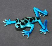 Fantastic Bronze Frog "Angelina" Sculpture Figurine Metal Amphibian Limited Edition Signed Numbered 6 small