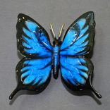 Gorgeous Color "Butterfly" Bronze Statue Figurine Insect Limited Edition / Signed Numbered 6 small