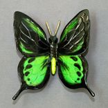Gorgeous Color "Butterfly" Bronze Statue Figurine Insect Limited Edition / Signed Numbered 4 small