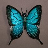 Gorgeous Color "Butterfly" Bronze Statue Figurine Insect Limited Edition / Signed Numbered 5 small