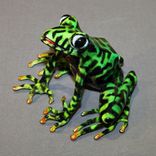 Gorgeous Color 1 small