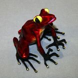 Gorgeous Color 2 small