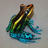 Gorgeous Color 4 small