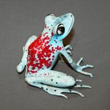 Gorgeous Color 5 small