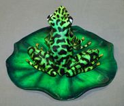 Gorgeous Color 6 small